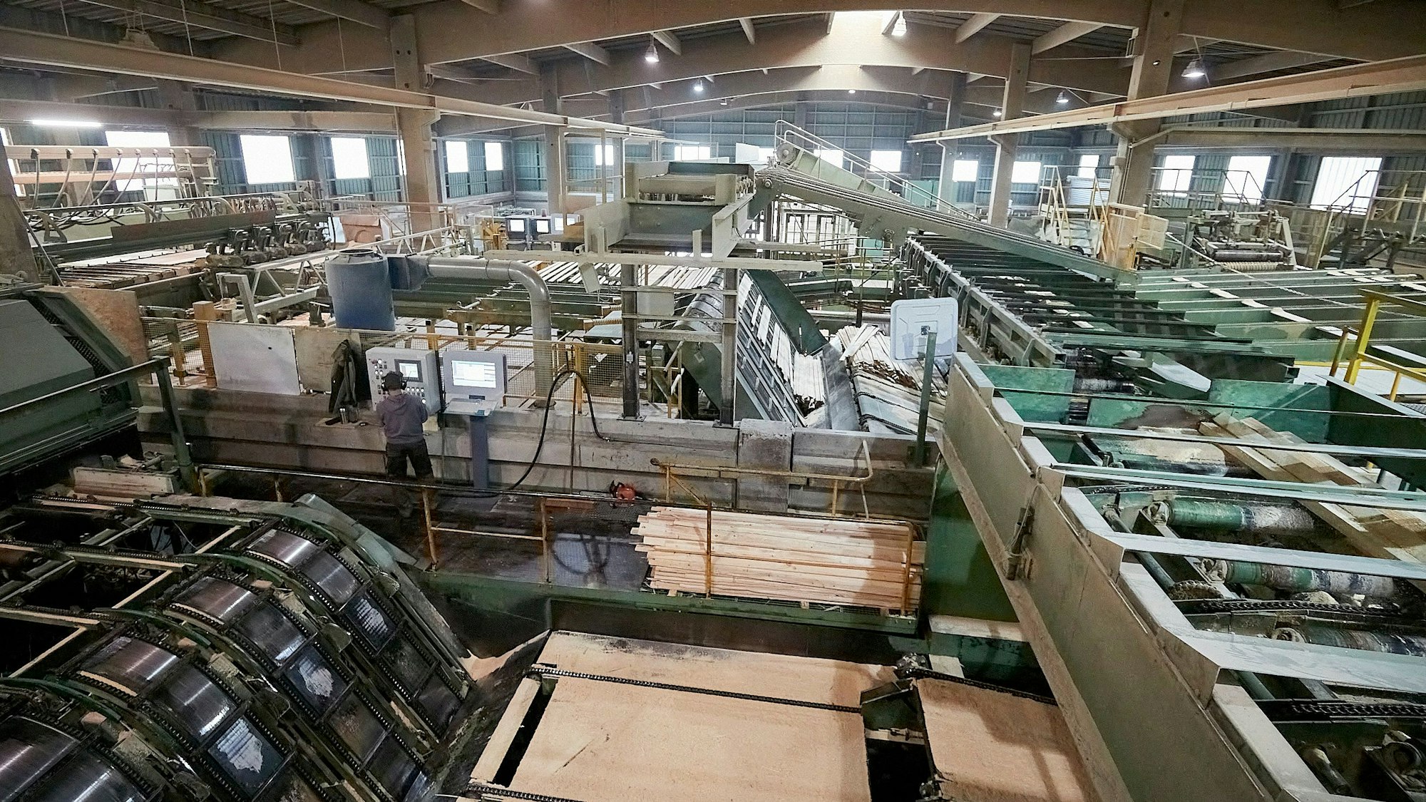 Das Foto zeigt die Sägestraße der Firma Hilo, die in einer der neuen Firmenhallen untergebracht ist.