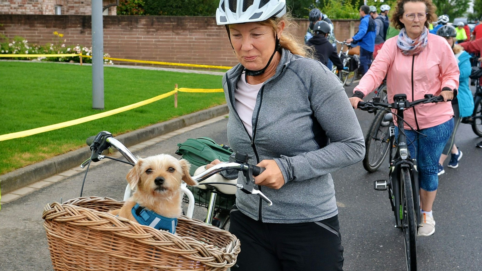 Ein kleiner Hund sitzt in einem Körbchen, das am Lenker eines Fahrrads befestigt ist. Eine Frau mit Helm steht an dem Fahrrad.
