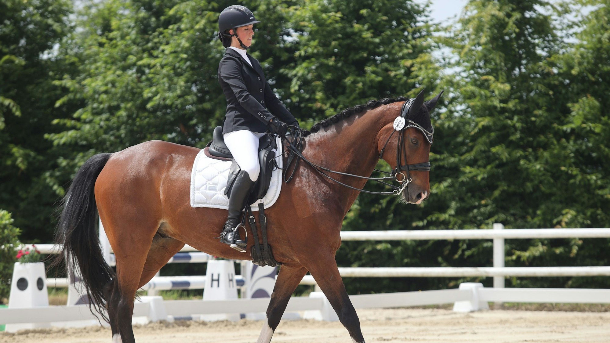 Zu sehen sind eine Reiterin und ihr Pferd.