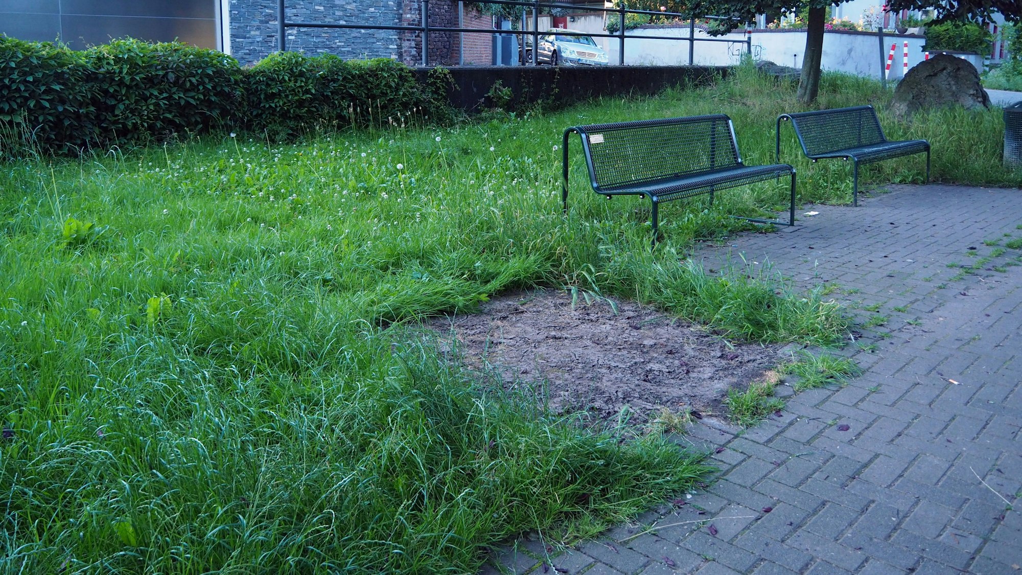 Zunächst war die mobile Toilette neben einer Bank am Rheinufer in Nähe des Spielplatzes Rheinaustraße aufgestellt worden. Das kam bei mehrereb Anwohnern nicht gut an.