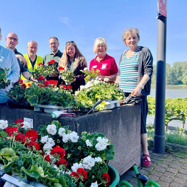 Die Blumenkübel am Rheinufer haben Vertreterinnen und Vertreter von Porzer Schützenvereinen zusammen mit dem Bürgerverein Porz-Mitte bepflanzt.