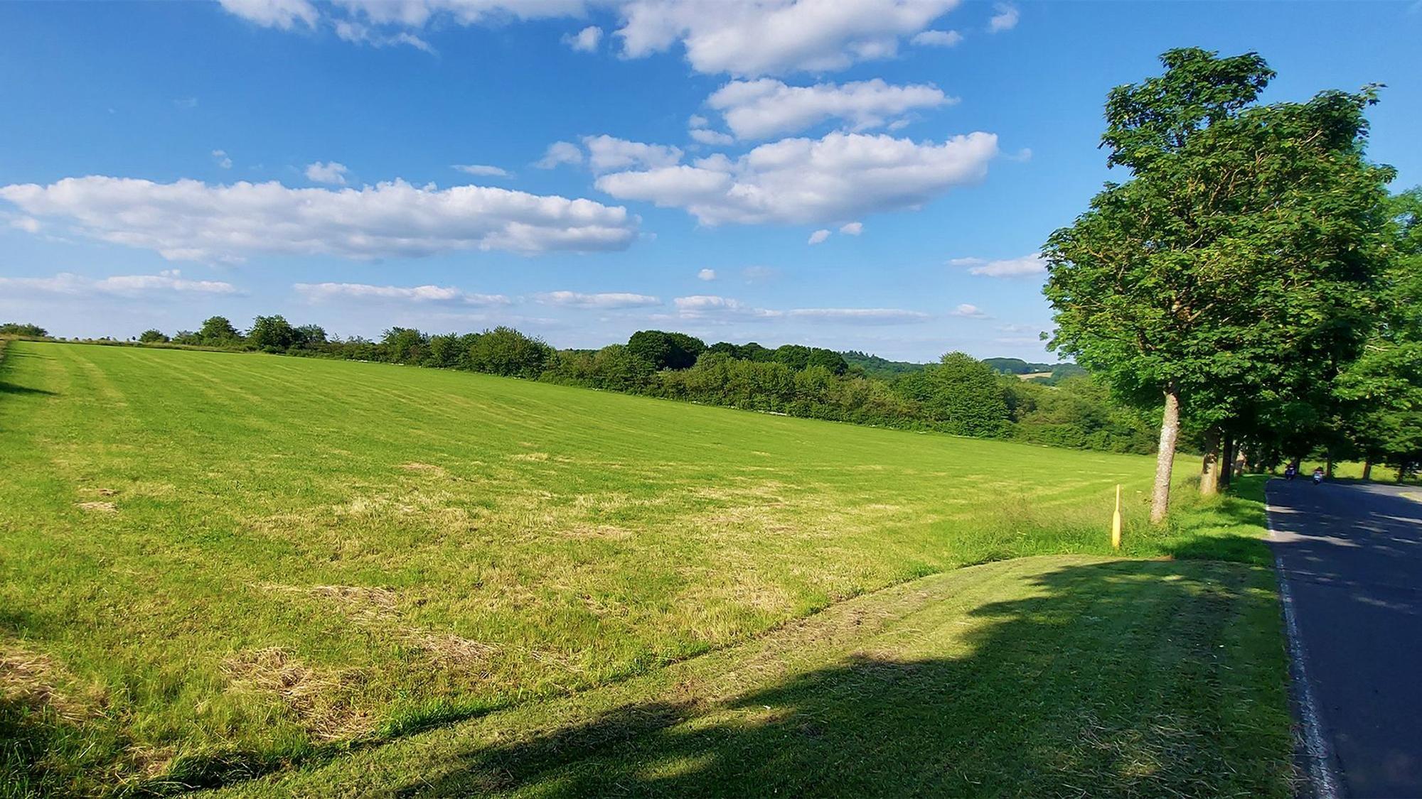 Eine grüne Wiese neben Bäumen und einer Straße soll mit Wohnhäusern bebaut werden.