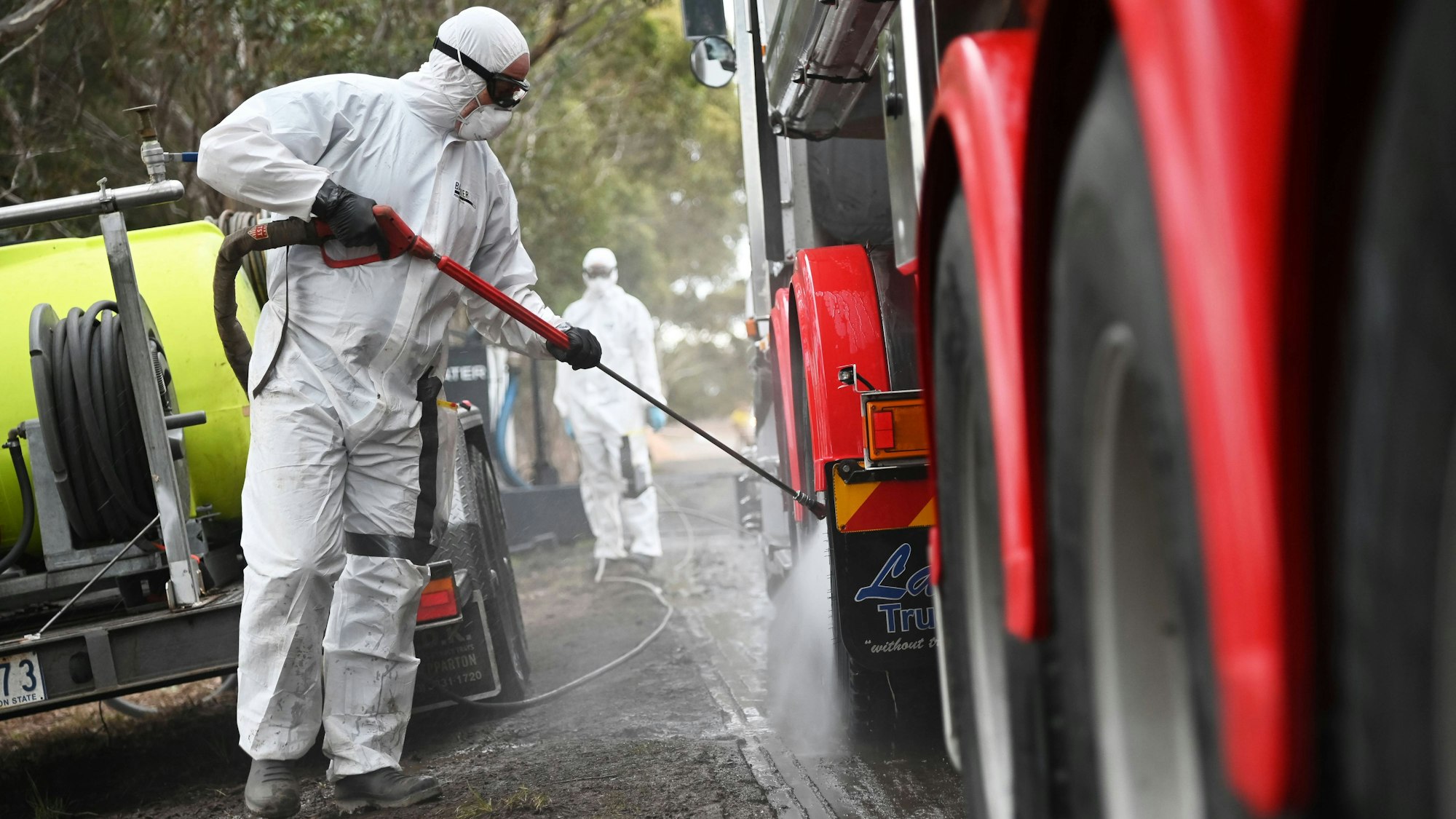 Arbeiter in Schutzanzügen reinigen einen Lastwagen in einer Quarantänezone nach einem Ausbruch der Vogelgrippe in Australien. Auch in den USA sind viele Rinder infiziert. Experten fürchten eine Mutation des Erregers. (Archivbild)