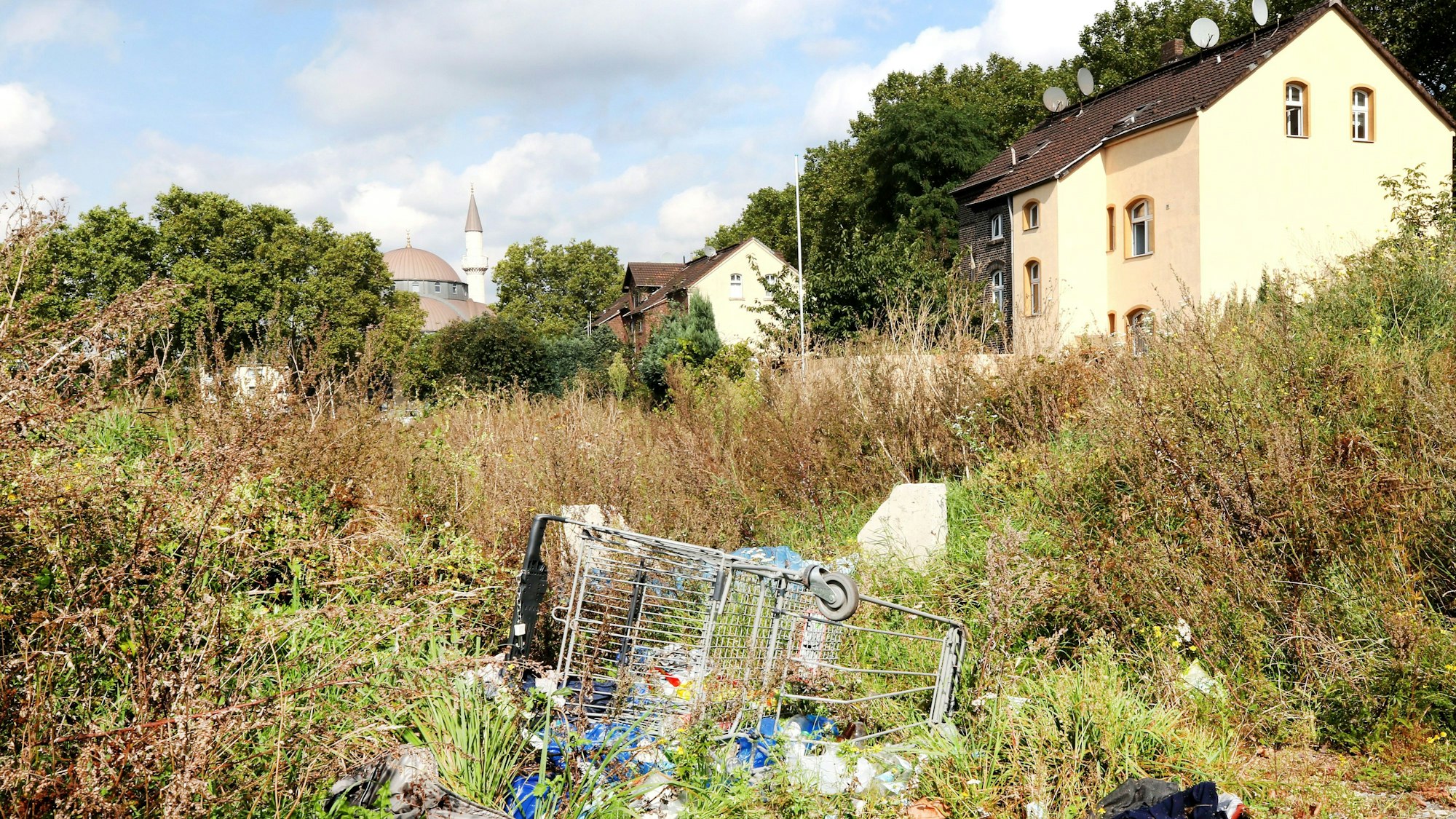 Müll liegt im Duisburger Stadtteil Marxloh auf einer Grünfläche.