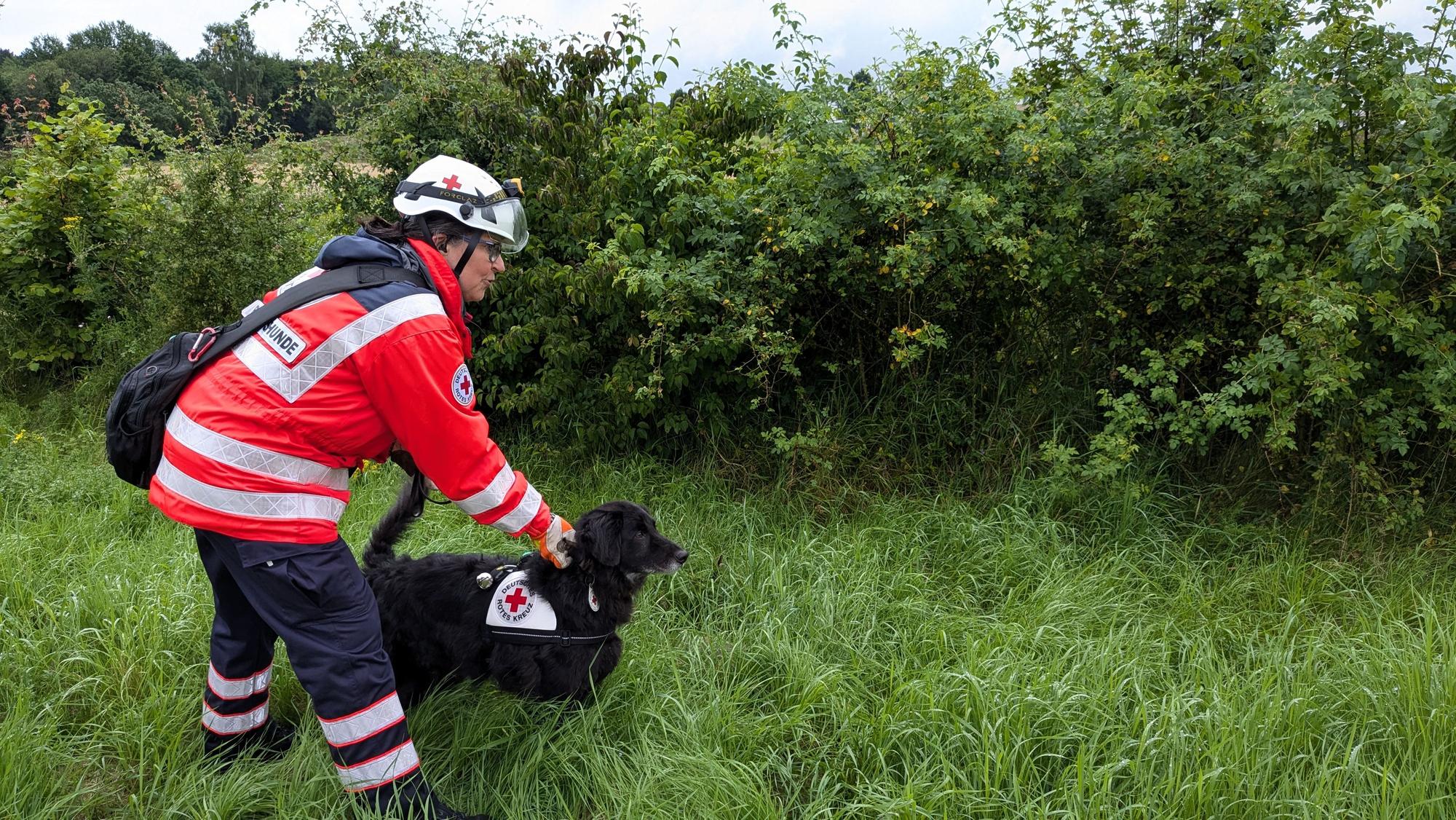 Ein Suchhundeteam des DRK ist im Einsatz.