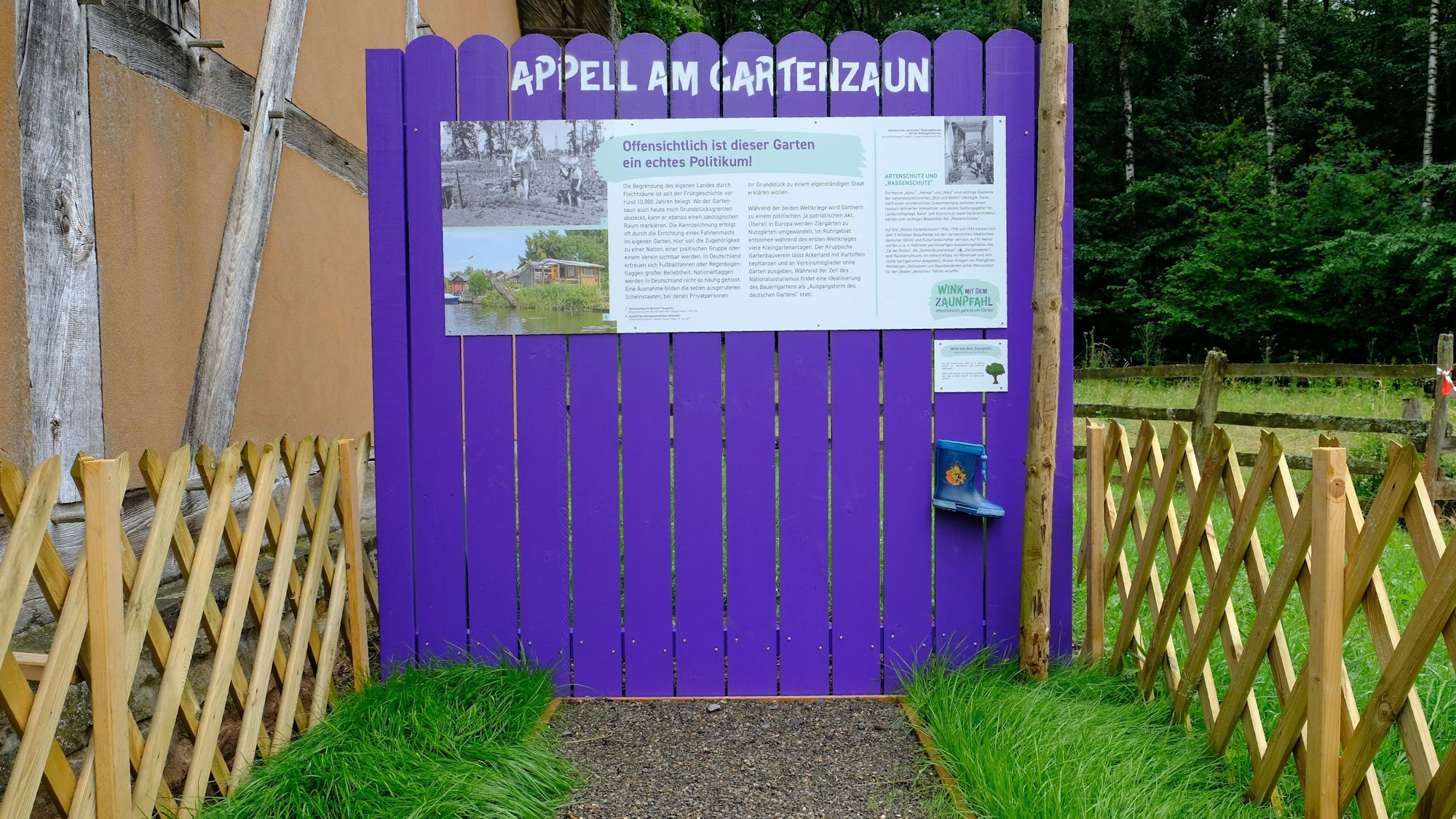 Auf einem lilafarbenen Holzzaun ist eine Museumstafel mit Bild und Text montiert. Links und rechts davon steht ein Jägerzaun.