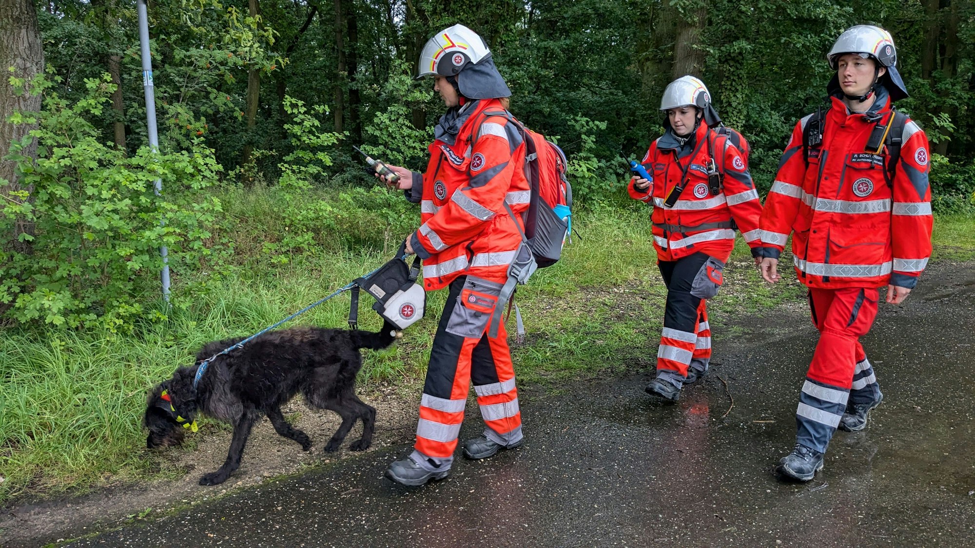 Bei der Suche nach einer vermissten 13-Jährigen kamen auch Suchhundeteams der Johanniter zum Einsatz