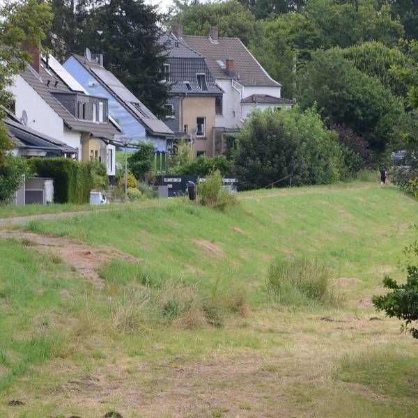 Hinter einem mit Gras bewachsenen Flussdeich stehen Wohnhäuser.