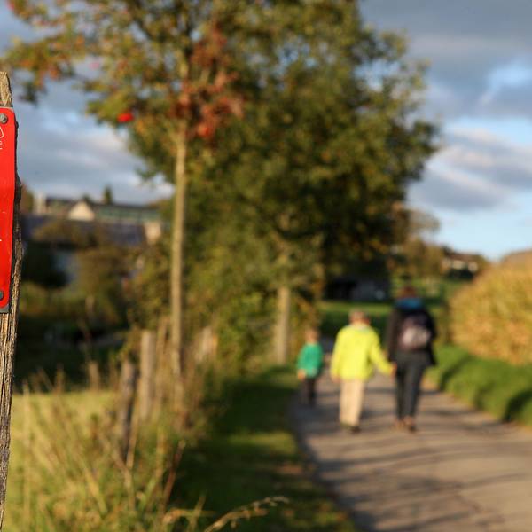 Menschen laufen auf einem Wanderweg.