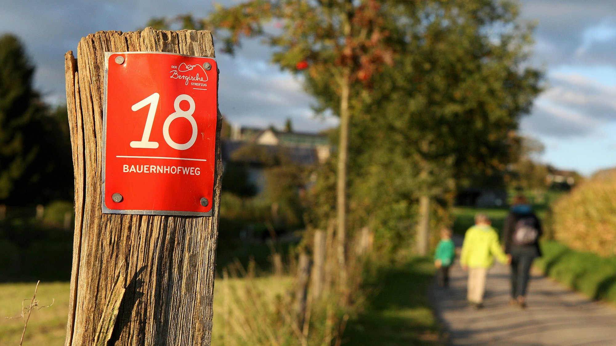 Menschen laufen auf einem Wanderweg.
