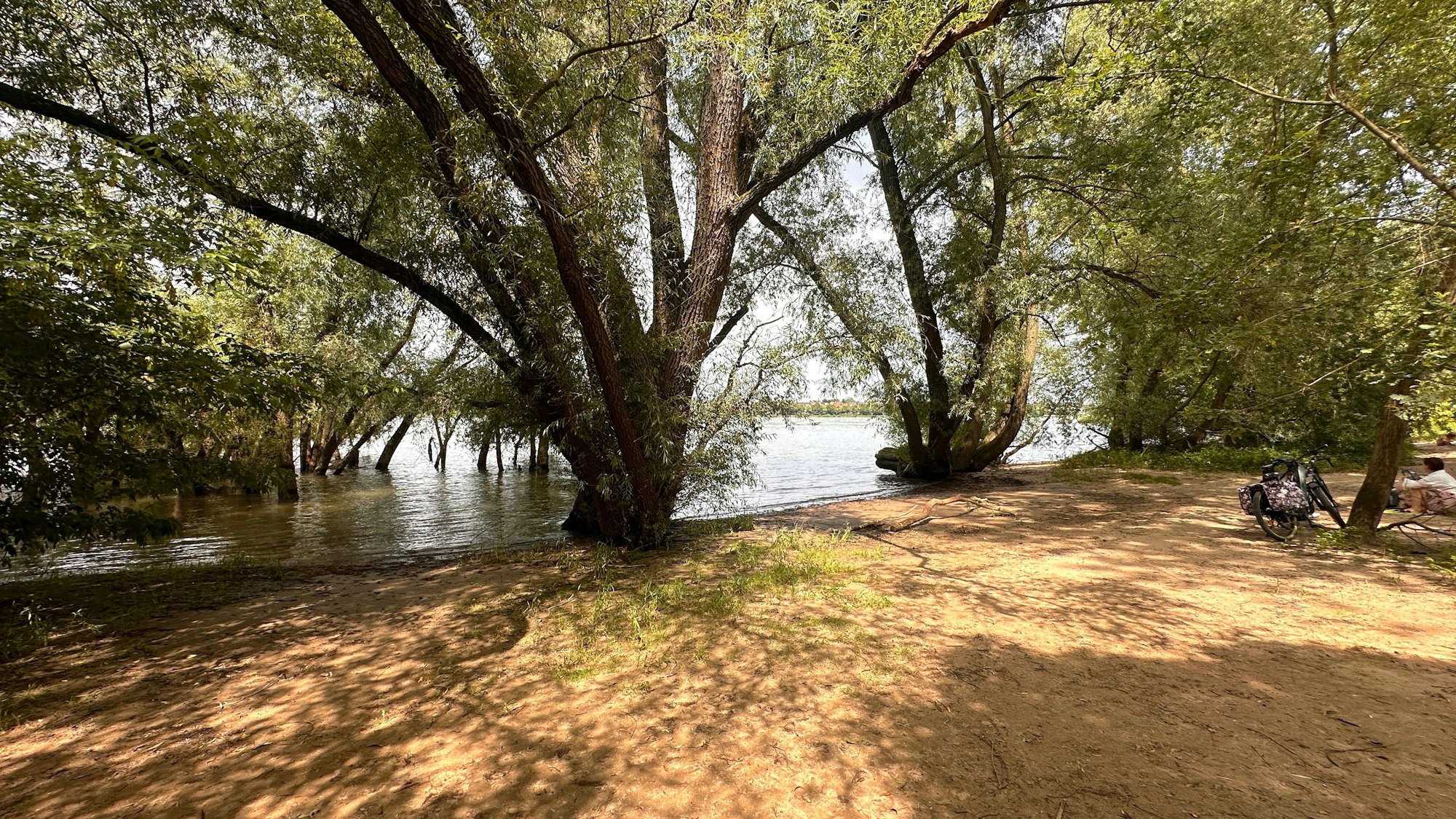 Schattig und kühl ist es im Sommer an der Rodenkirchener Riviera.