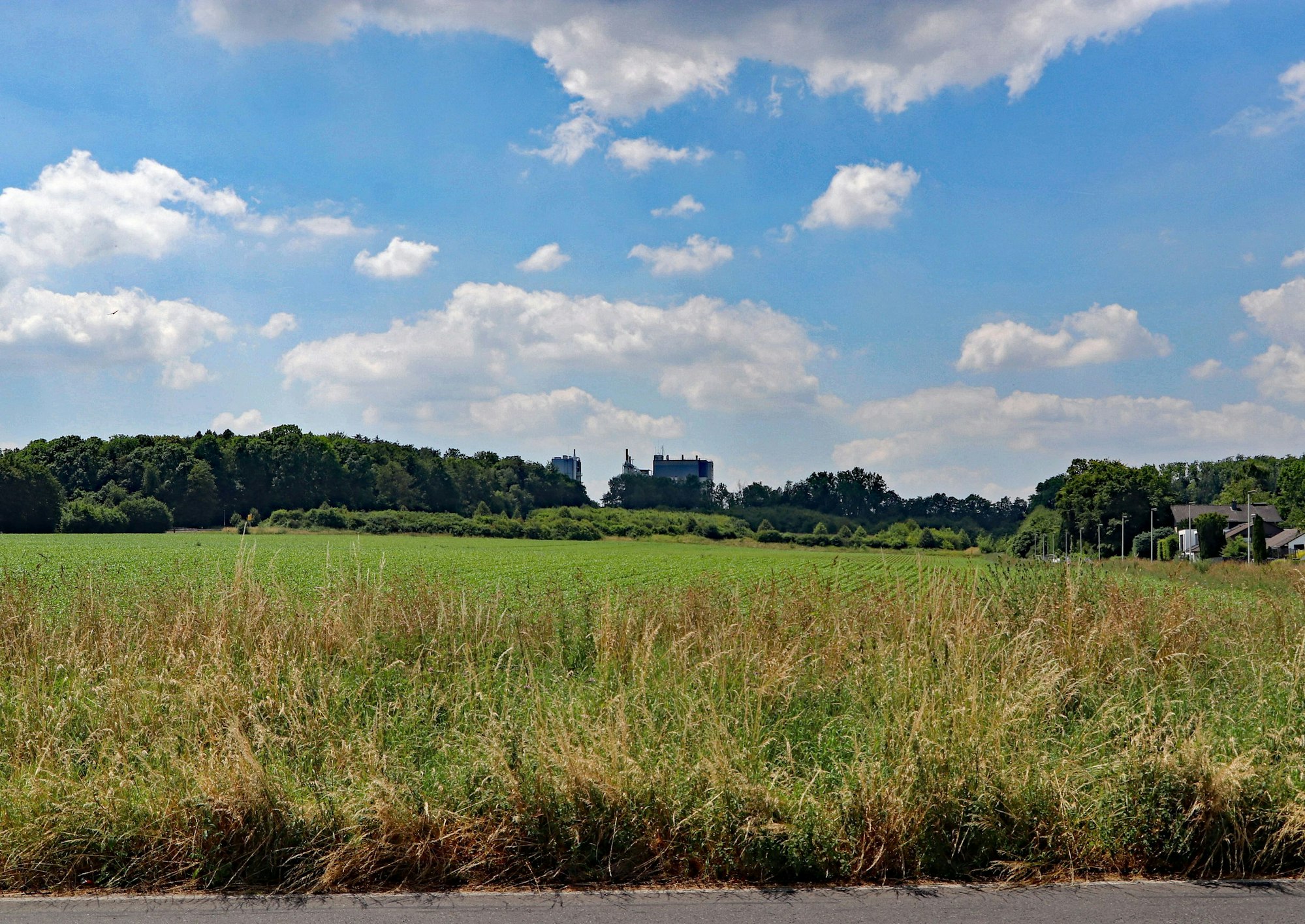 Das Bild zeigt eine Wiese mit dem Blick auf die Quarzwerke.