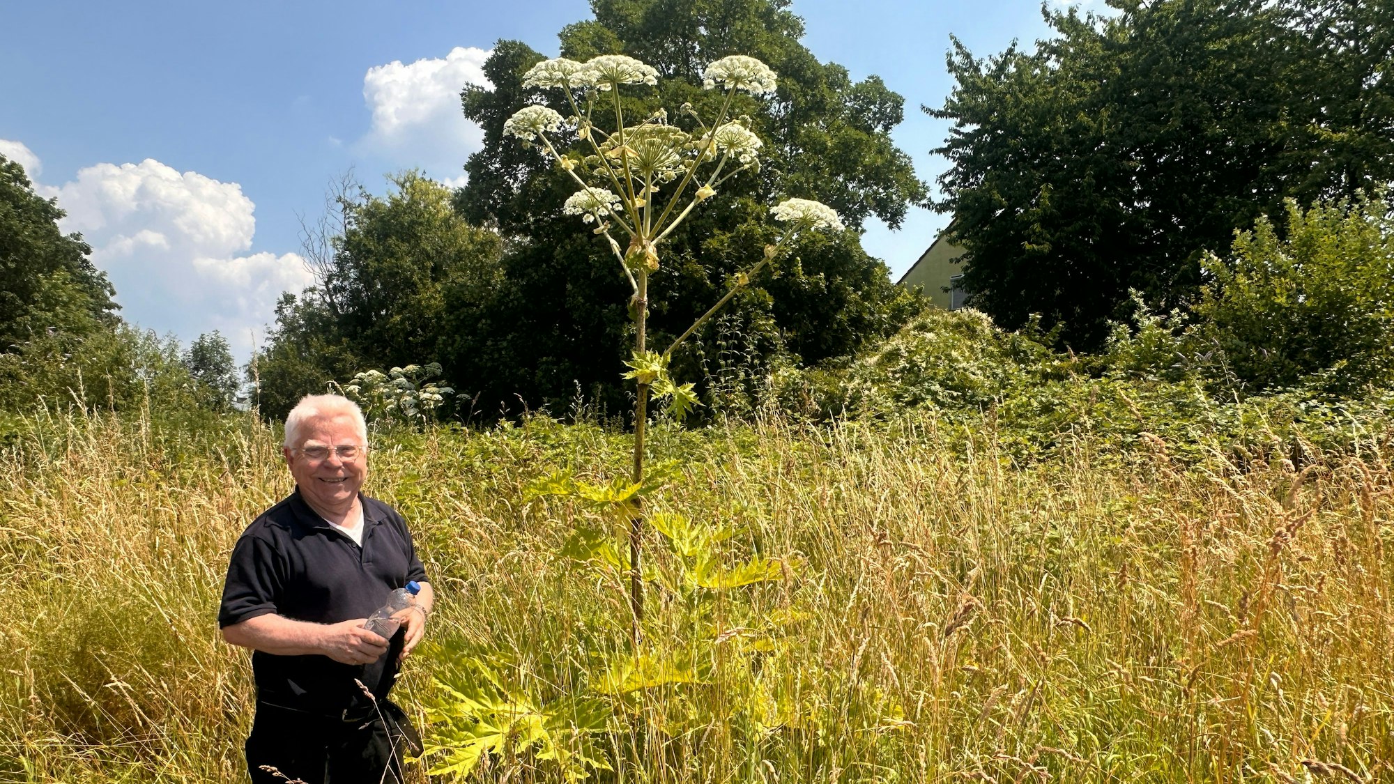 Hans-Josef Küpper weist auf frei zugängliche, hochgiftige Pflanzen, den Bärenklau, hin.