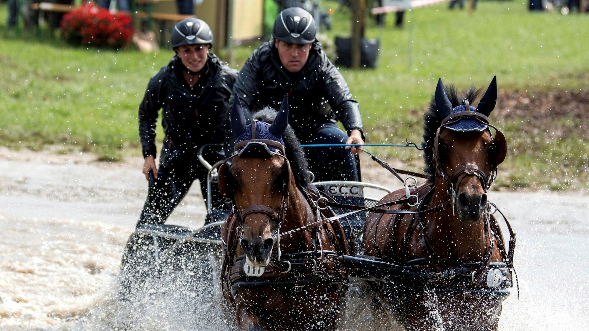 Ein Gespann mit zwei Pferden, Fahrer und Beifahrerin, durchquert ein Wasserhindernis.
