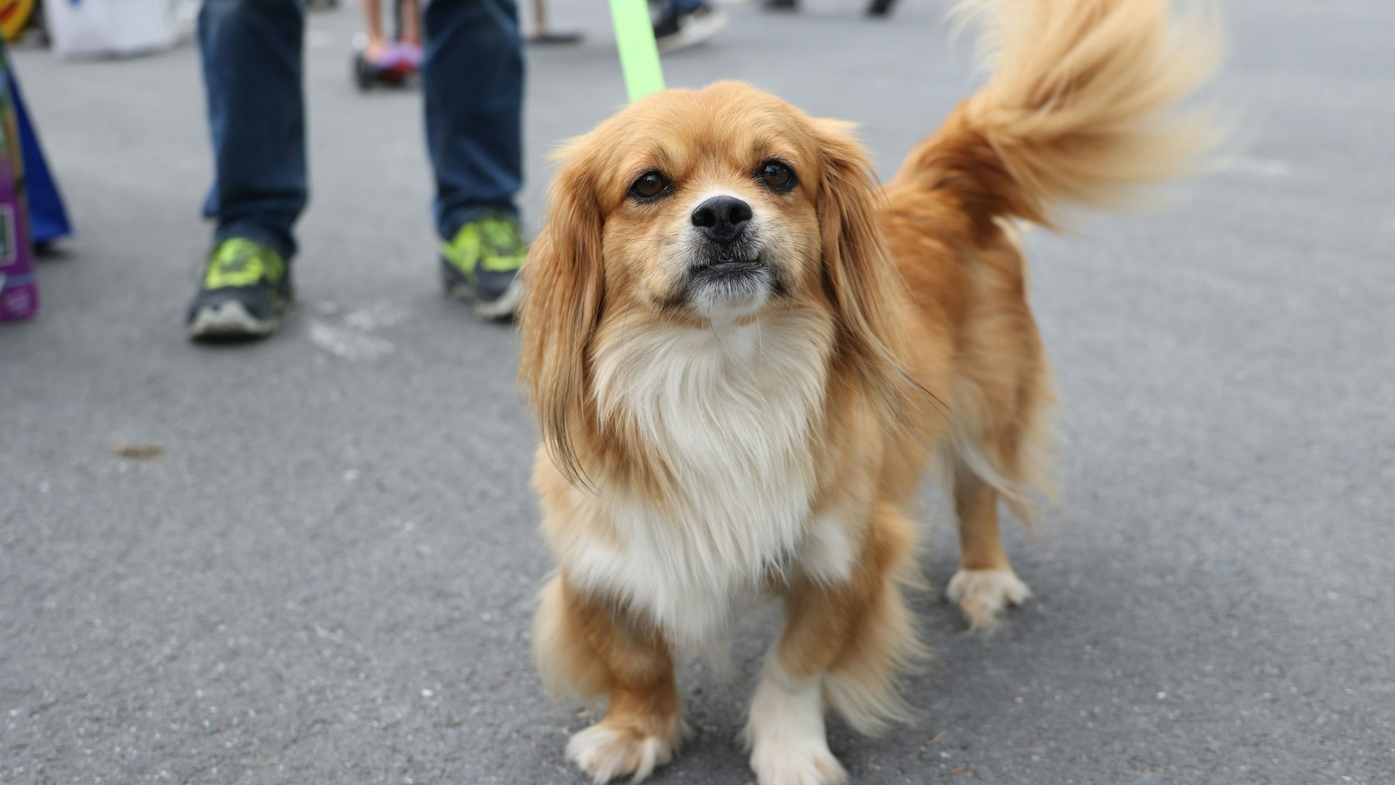 Auf dem Wertstoffhof in Leichlingen