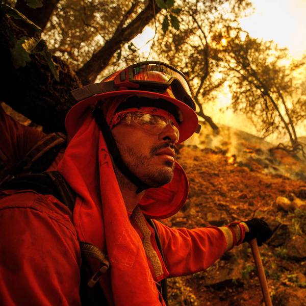 02.07.2024, USA, Oroville: Ein Feuerwehrmann gräbt eine Feuerschneise, während das Thompson-Feuer brennt. Foto: Ethan Swope/AP/dpa +++ dpa-Bildfunk +++