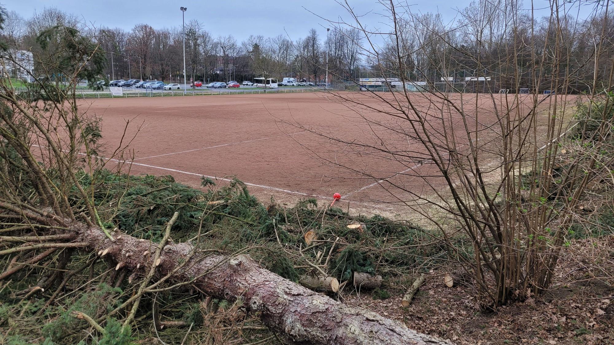 Zu sehen ist ein Aschenplatz, im Vordergrund gefällte Bäume.