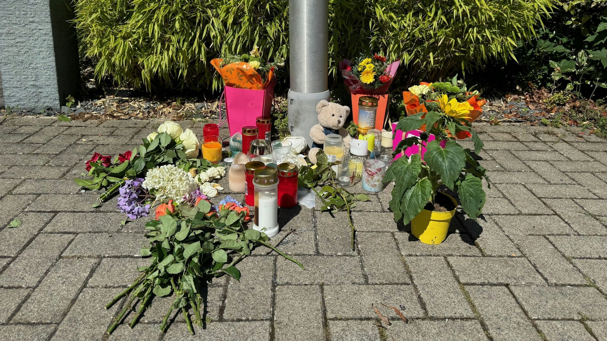 Am Meckenheimer Siebengebirgsring erinnern Blumen, Kerzen und ein Teddy an die Verstorbene 15-Jährige