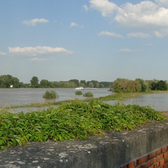 Die Rheinaue Langel-Merkenich steht bei Hochwasser mit als erstes unter Wasser.