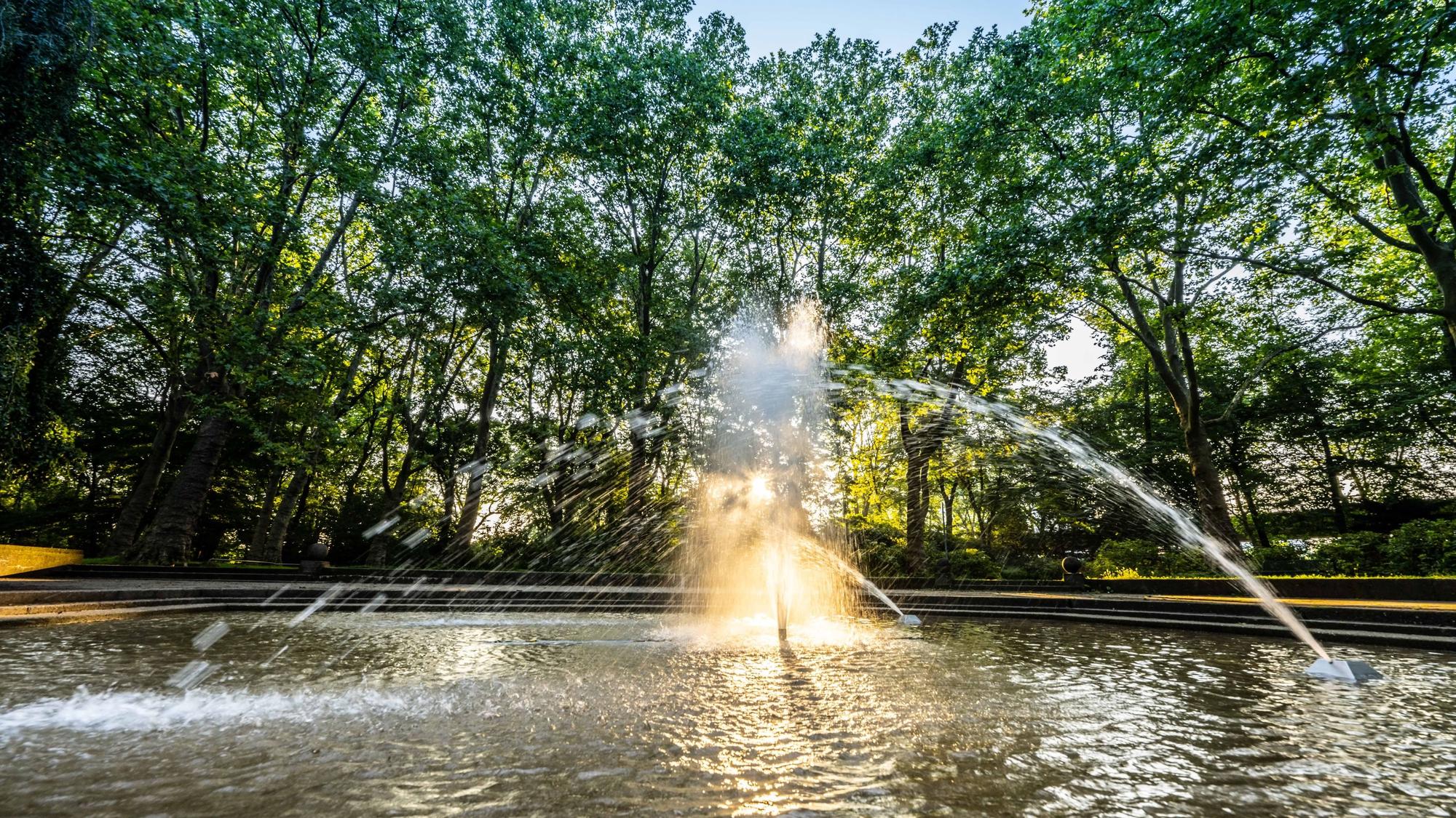 Die sprudelnde Fontäne im Kölner Blücherpark, umgeben von hohen grünen Bäumen. (Archivbild)
