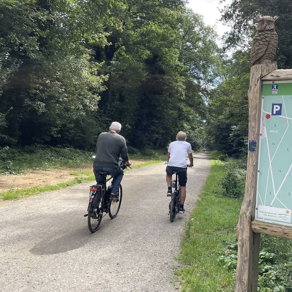 Zwei Radfahrer auf dem Weg zum Wildgehege Brück. Das liegt auf der Fahrradtour durch den Königsforst.