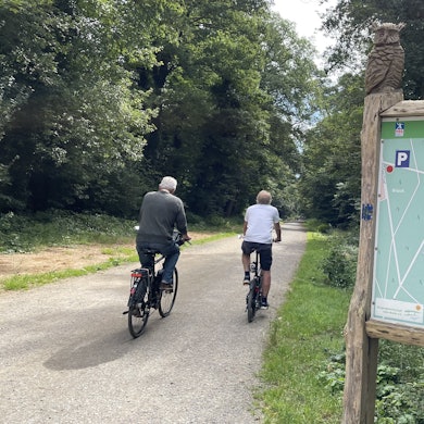 Zwei Radfahrer auf dem Weg zum Wildgehege Brück. Das liegt auf der Fahrradtour durch den Königsforst.