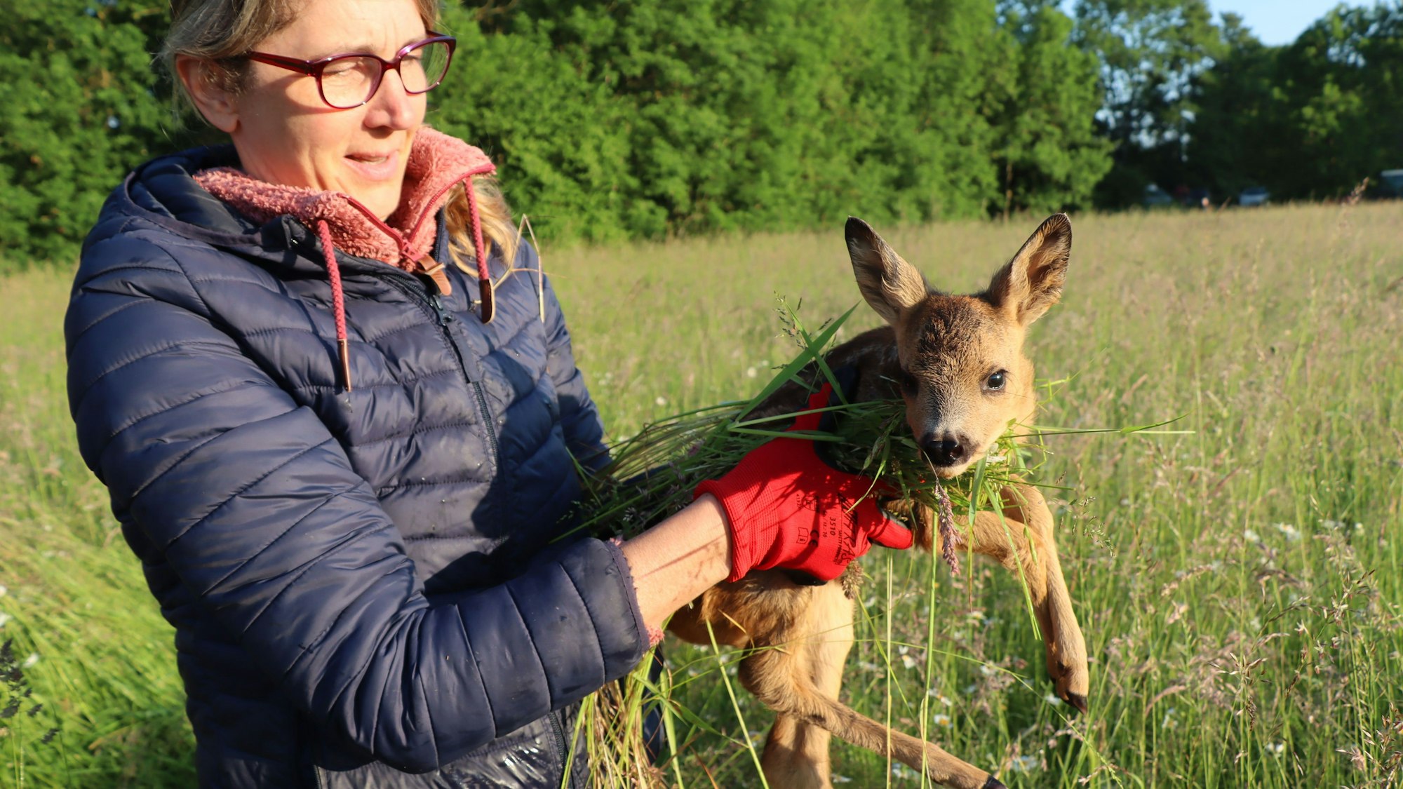 Eine Frau mit einem Rehkitz in den Händen.