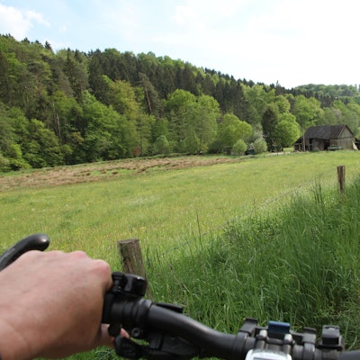Ein Radler auf einem asphaltierten Weg in der Landschaft
