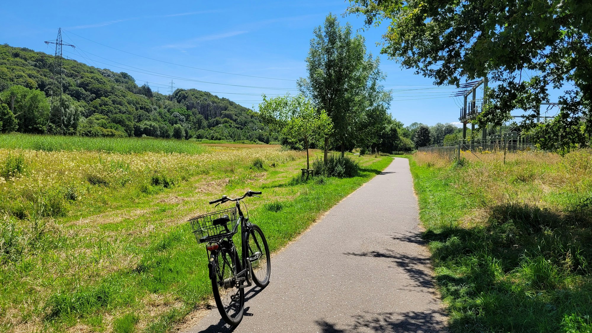 Unterwegs in Rösrath sammelte unser Autor vielerlei Eindrücke, auch mit dem Fahrrad im Landschaftspark, in der Nähe der Sülz.