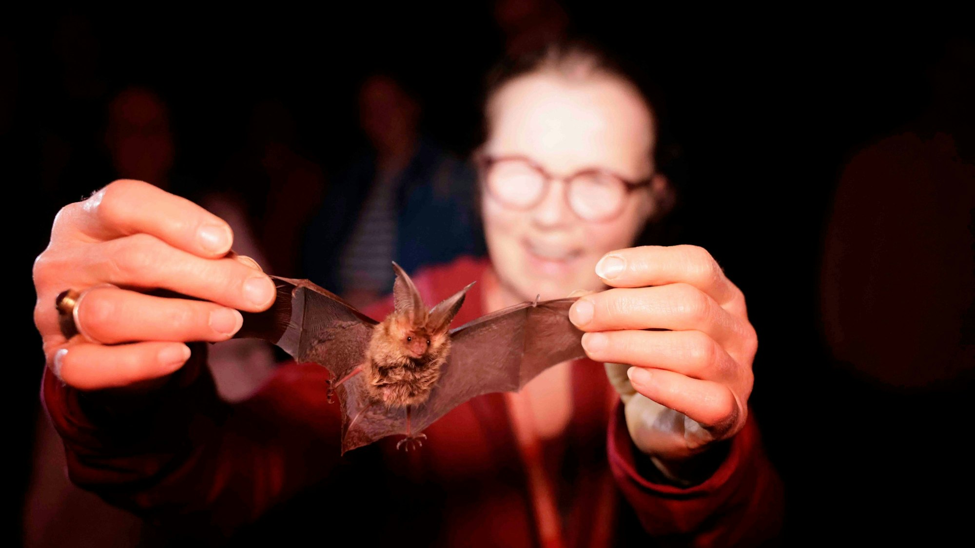Susanne Roer zeigt den Teilnehmenden eine Fledermaus.