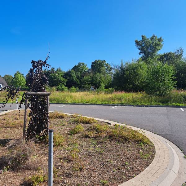 Auf der Brachfläche zwischen Wittelsbacher und Rheidter Straße sollen zwei Gebäude mit Sozialwohnungen entstehen. Der Rat hat dem Verkauf des Areals jetzt zugestimmt.