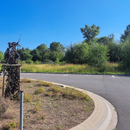 Auf der Brachfläche zwischen Wittelsbacher und Rheidter Straße sollen zwei Gebäude mit Sozialwohnungen entstehen. Der Rat hat dem Verkauf des Areals jetzt zugestimmt.
