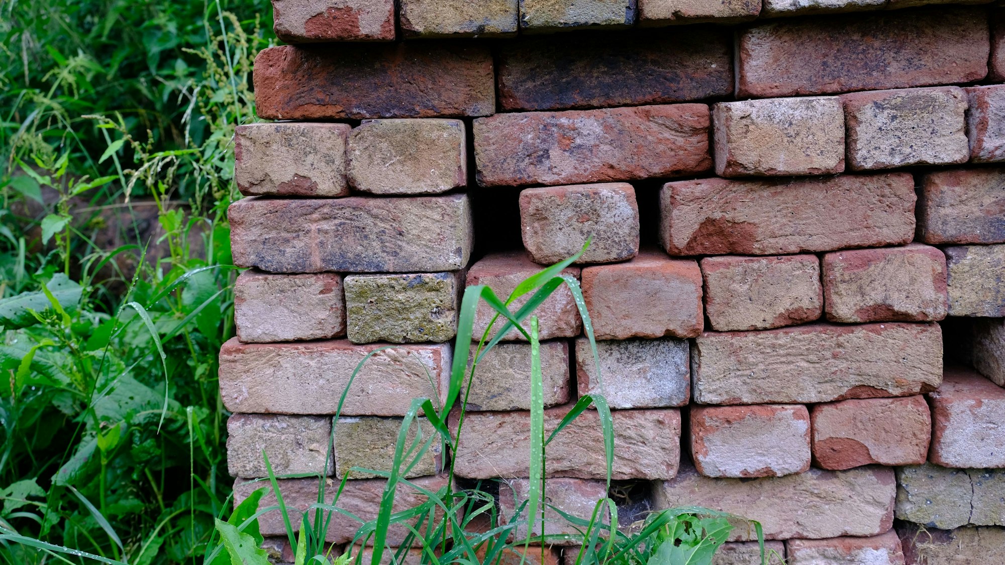 Aufgestapelte Klinkersteine liegen in einem Garten.