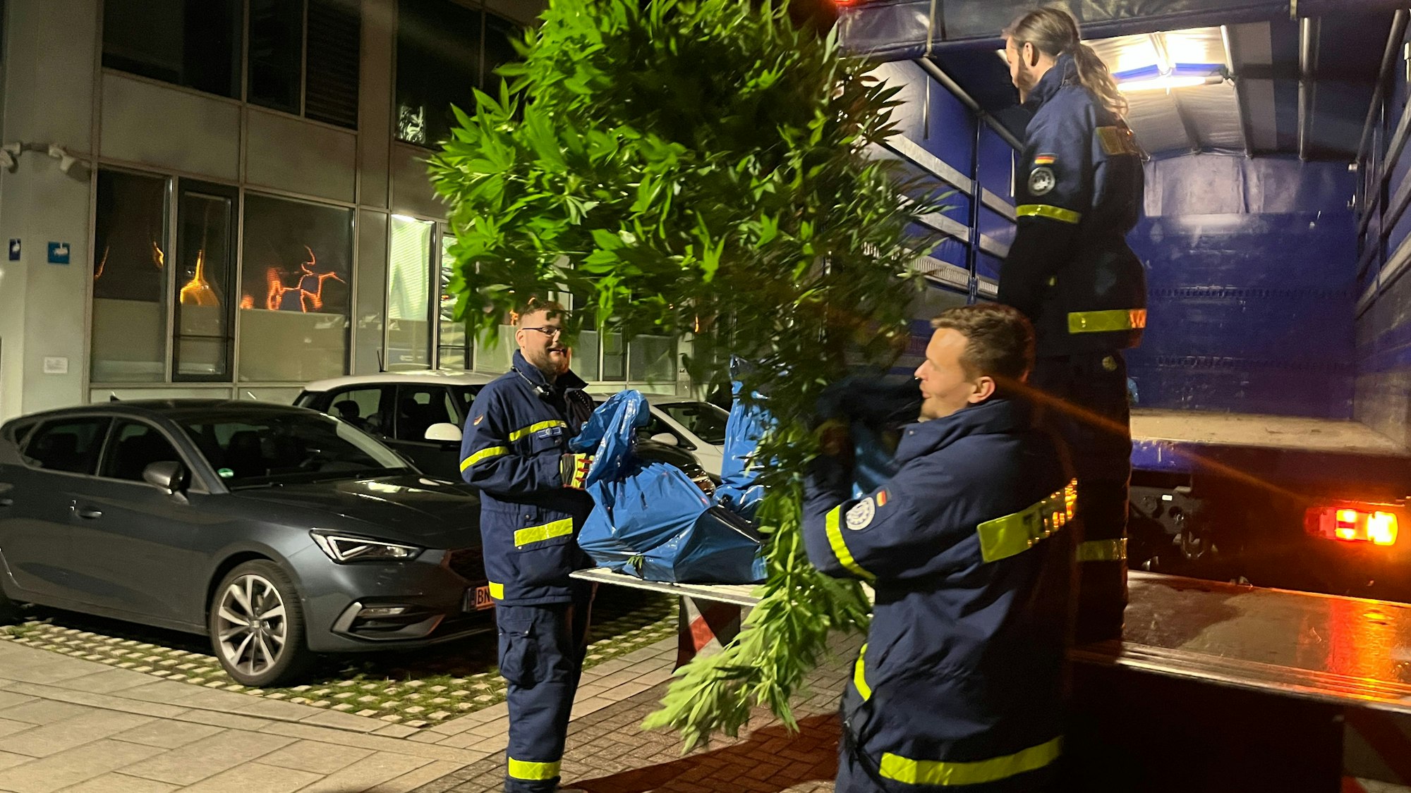 Die Pflanzen waren in einem guten Zustand. THW-Kräfte entluden den Lastwagen.