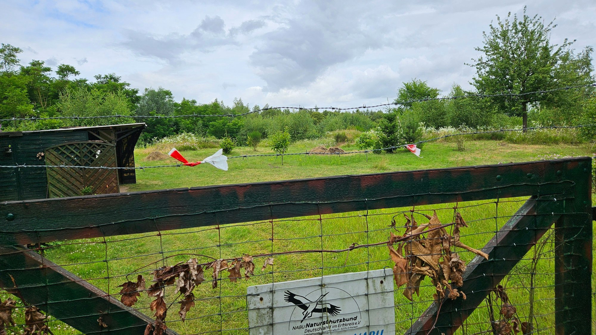 Zu sehen sind eine Wiese und ein Zaun.