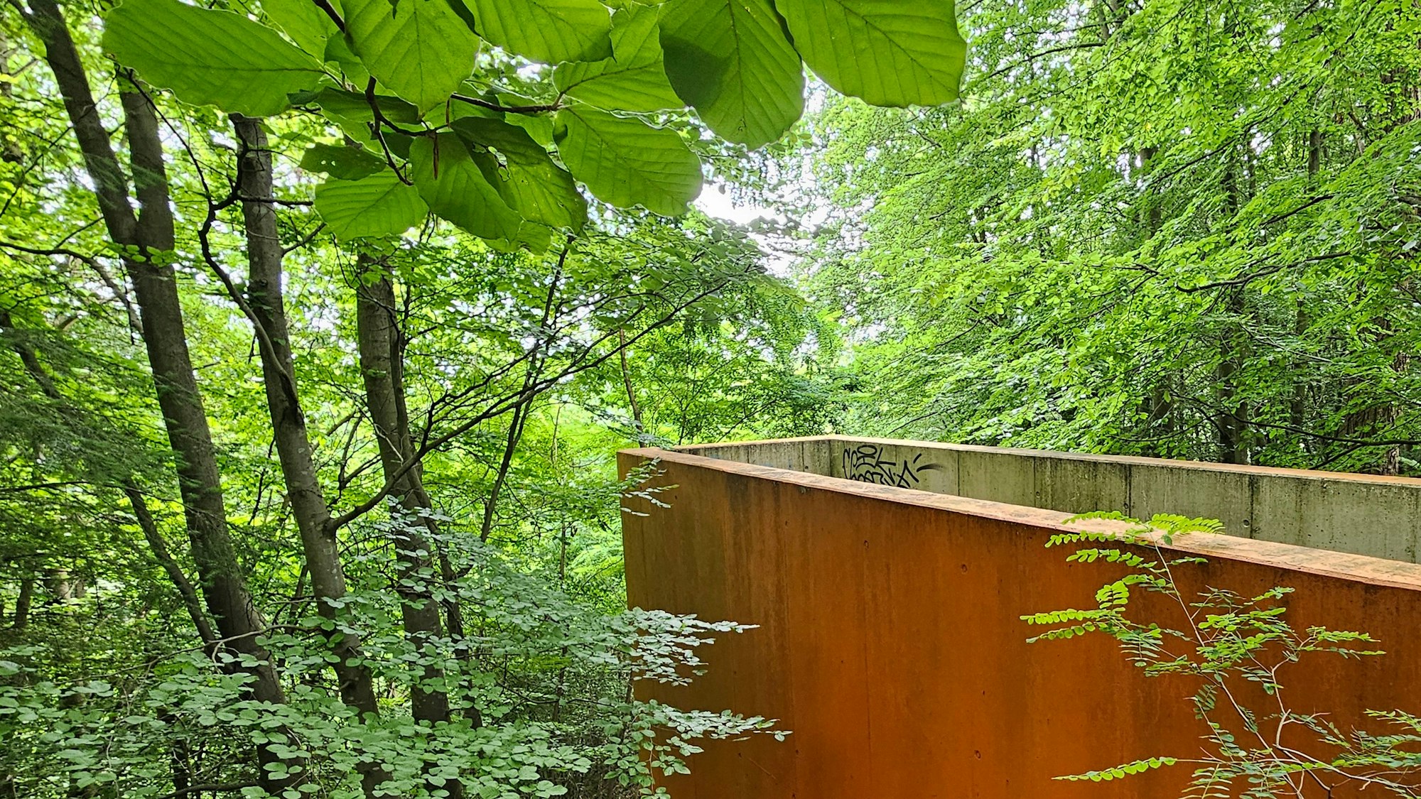 Zu sehen ist eine orange Infobox in einem Wald.