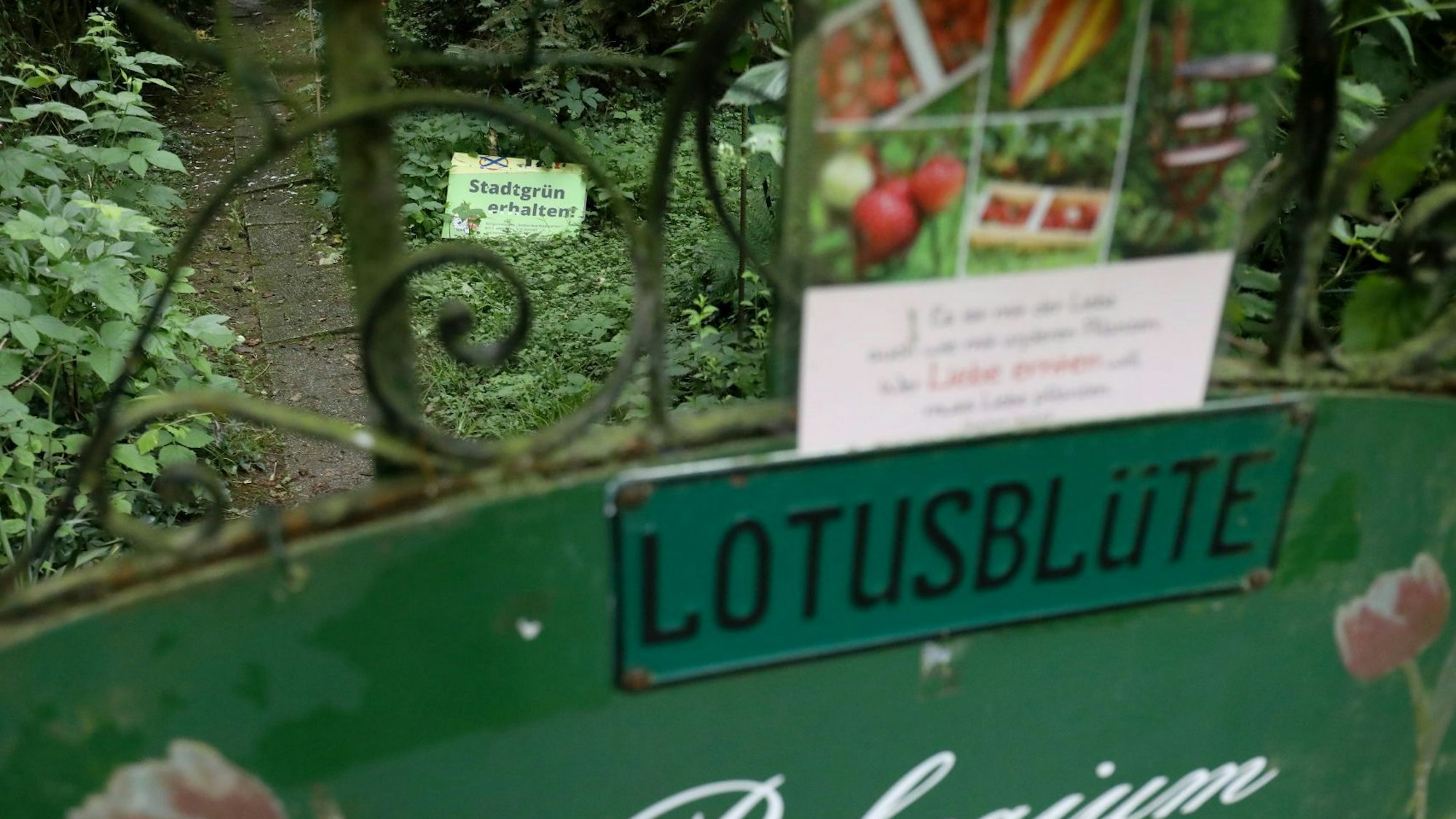 An einem Metalltor zu einem Schrebergarten steht der Name „Lotusblüte“.