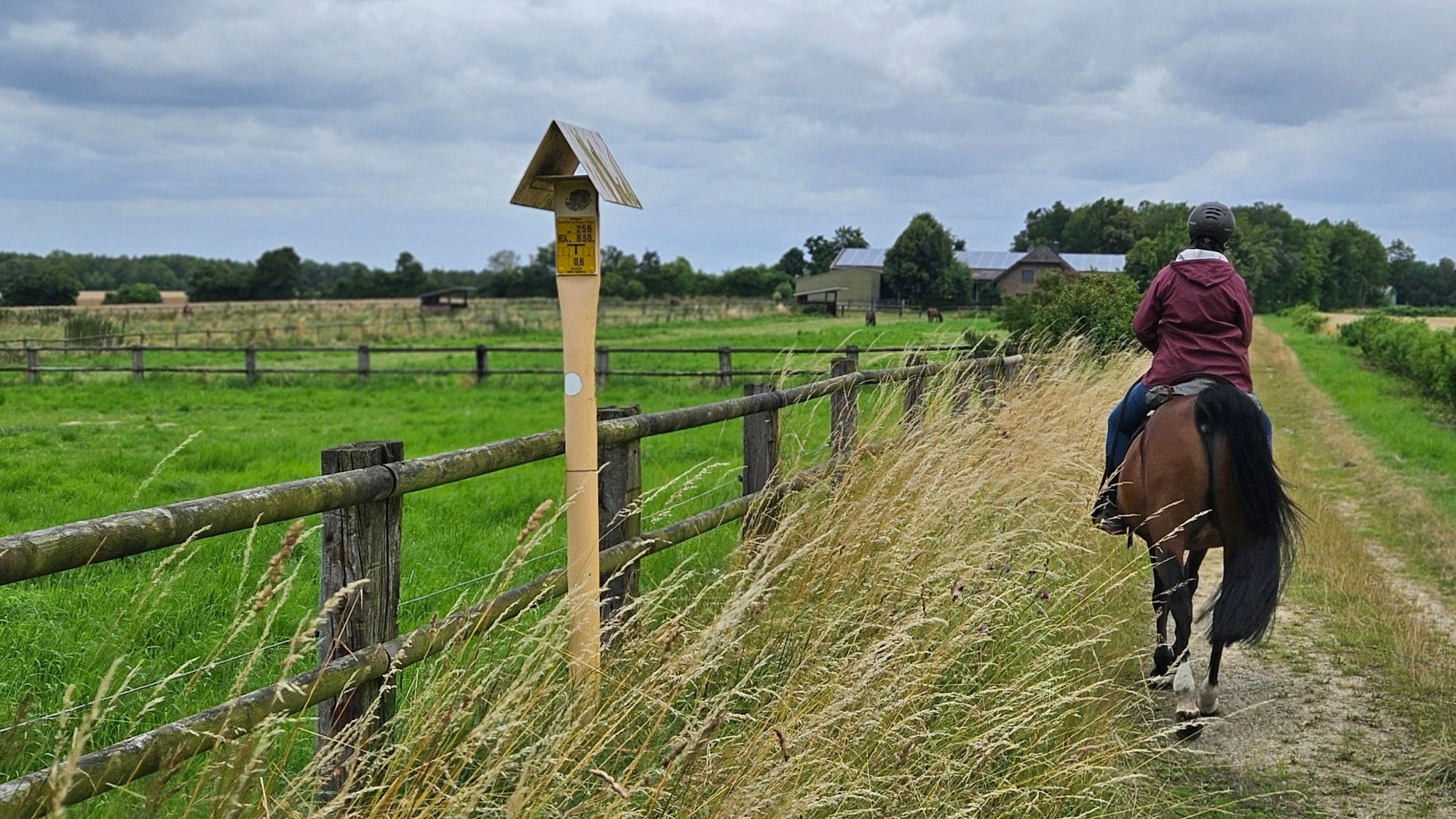 Zu sehen ist eine Reiterin auf einem Feldweg.