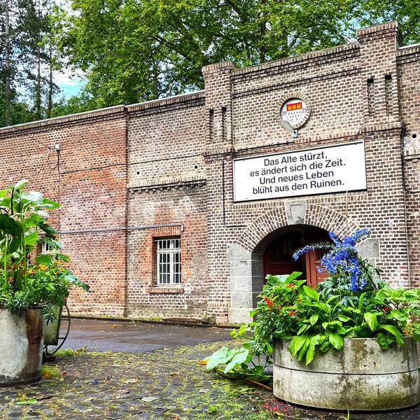 Die äußere Ziegelsteinmauer des Zwischenwerk Va in Köln. Im Vordergrund stehen Pflanzen.