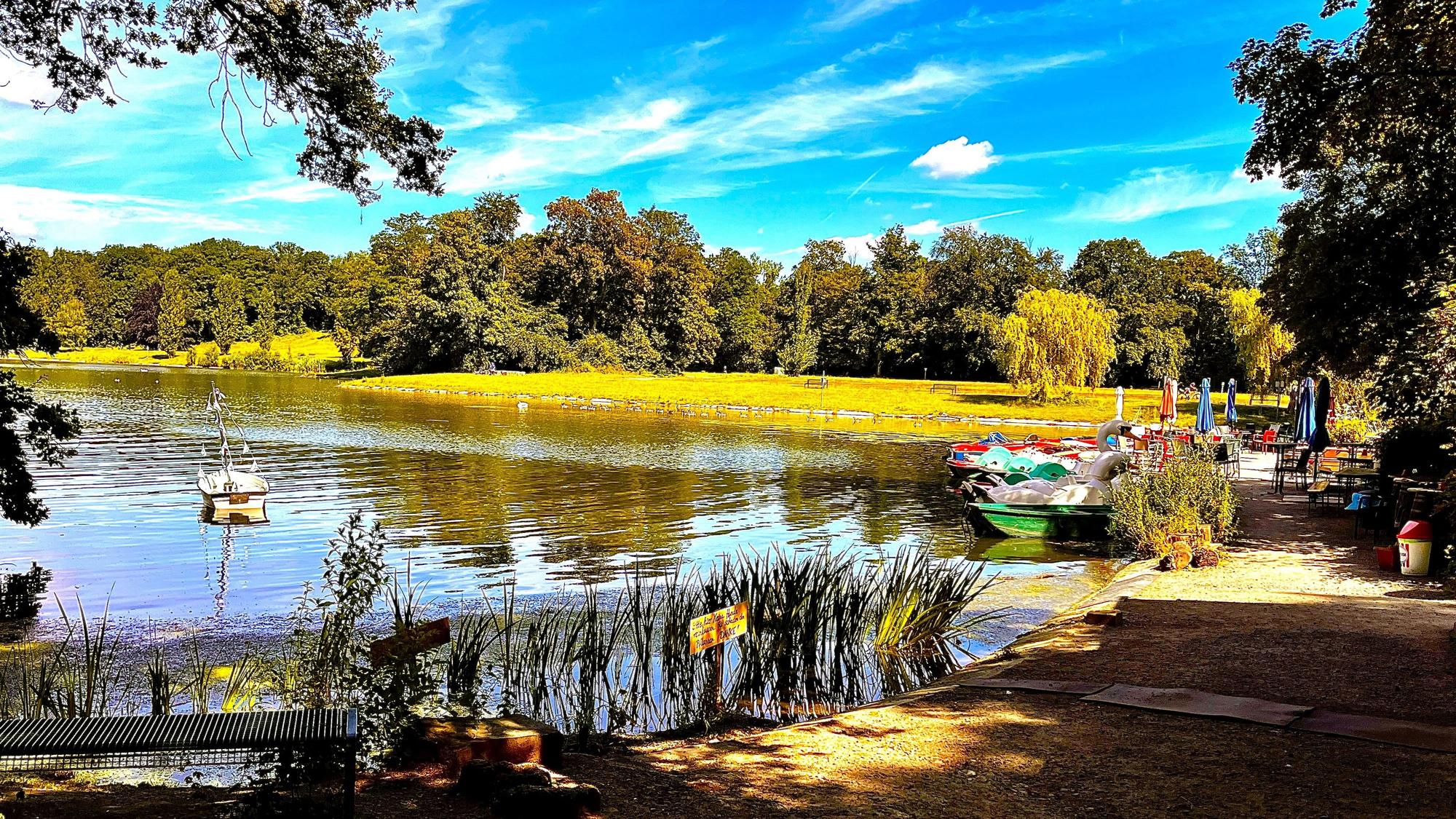 Das Foto zeigt den Kahlscheurer Weiher in Köln.