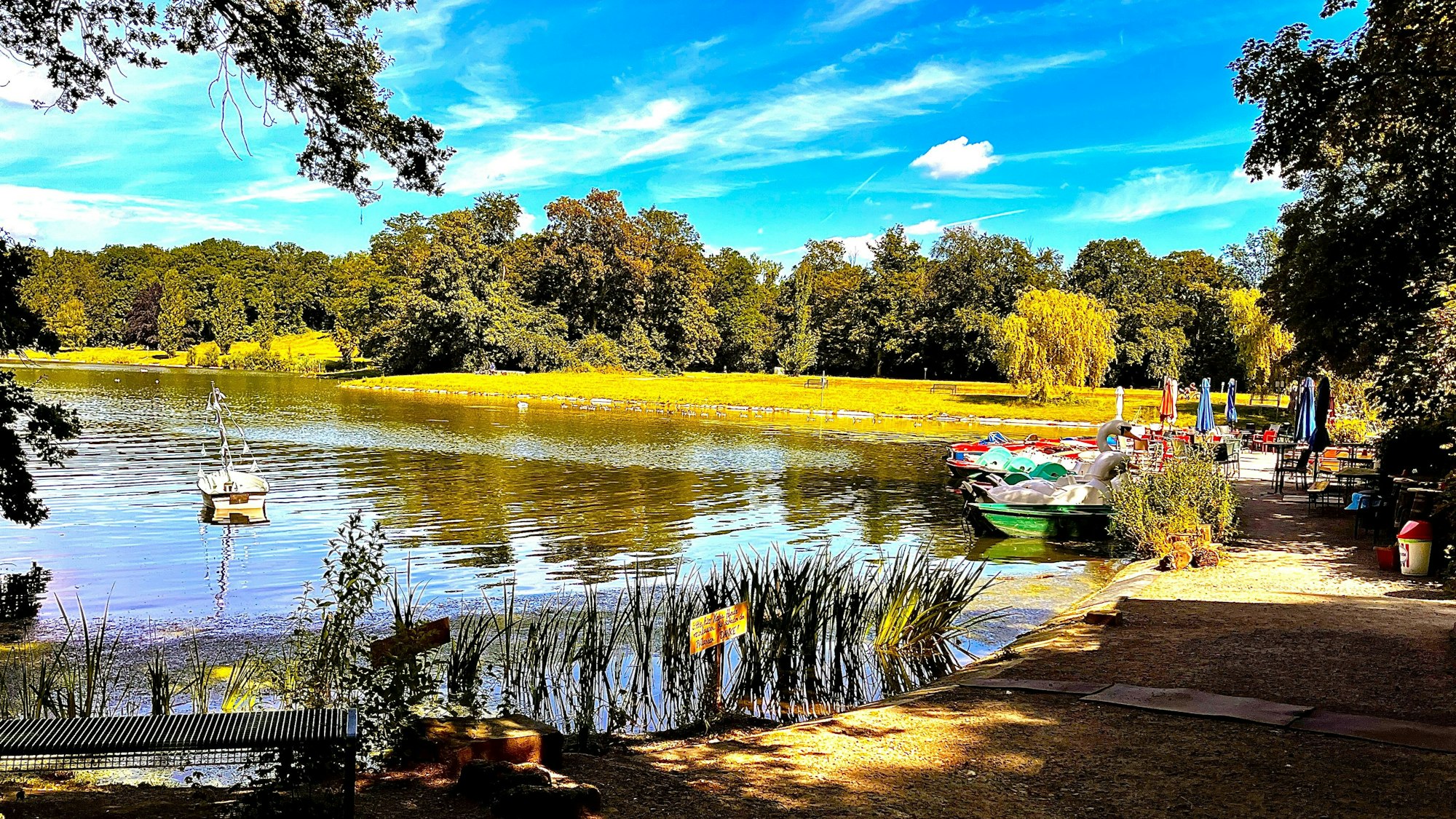Das Foto zeigt den Kahlscheurer Weiher in Köln.