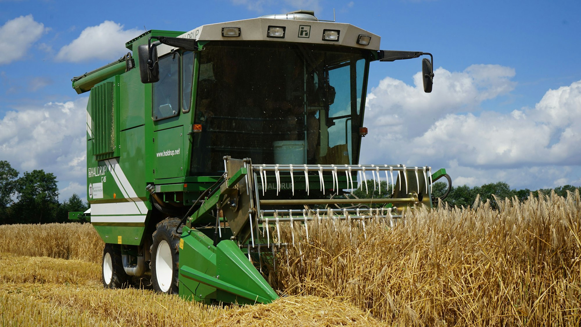 Ein Mähdrescher mäht ein Feld im Rheinland.