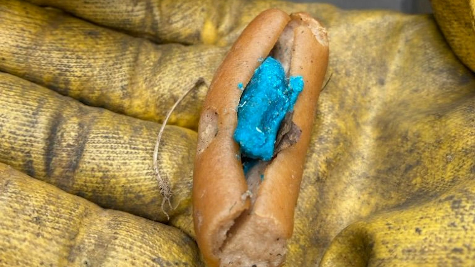 Zu sehen ist einer der Giftköder.