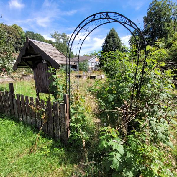 Durch diesen Zugang an der Gerdesstraße ist der im September 2016 angelegte Netzwerk-Garten in Waldbröl heute nicht mehr zu betreten: Er ist völlig zugewuchert.