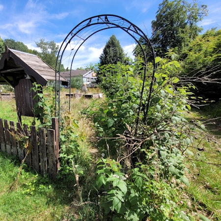 Durch diesen Zugang an der Gerdesstraße ist der im September 2016 angelegte Netzwerk-Garten in Waldbröl heute nicht mehr zu betreten: Er ist völlig zugewuchert.