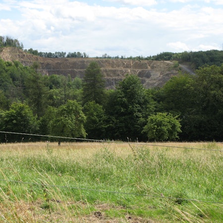 Blick aus einiger Entfernung in den Steinbruch Imhausen mit Bäumen im Vordergrund.