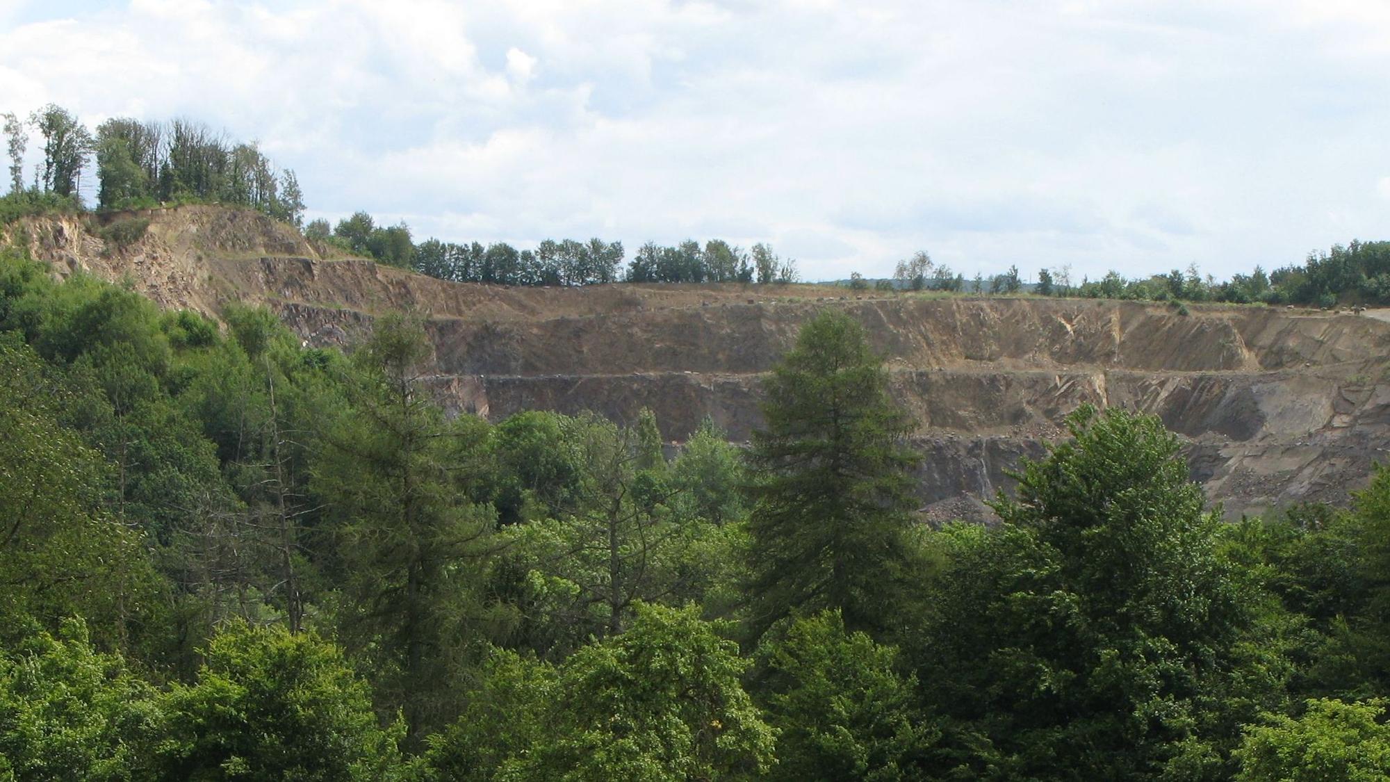 Blick aus einiger Entfernung in den Steinbruch Imhausen mit Bäumen im Vordergrund.