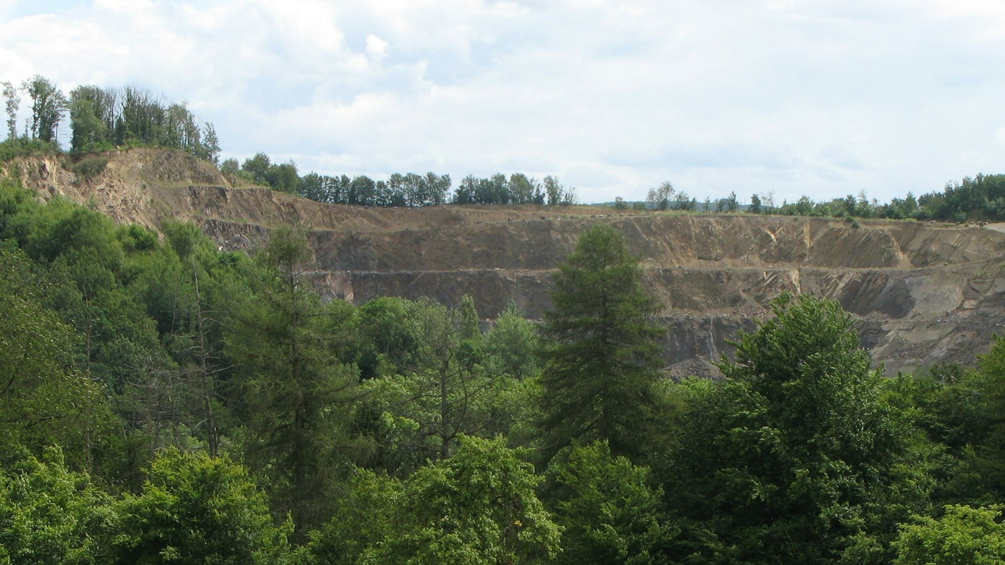 Blick aus einiger Entfernung in den Steinbruch Imhausen mit Bäumen im Vordergrund.