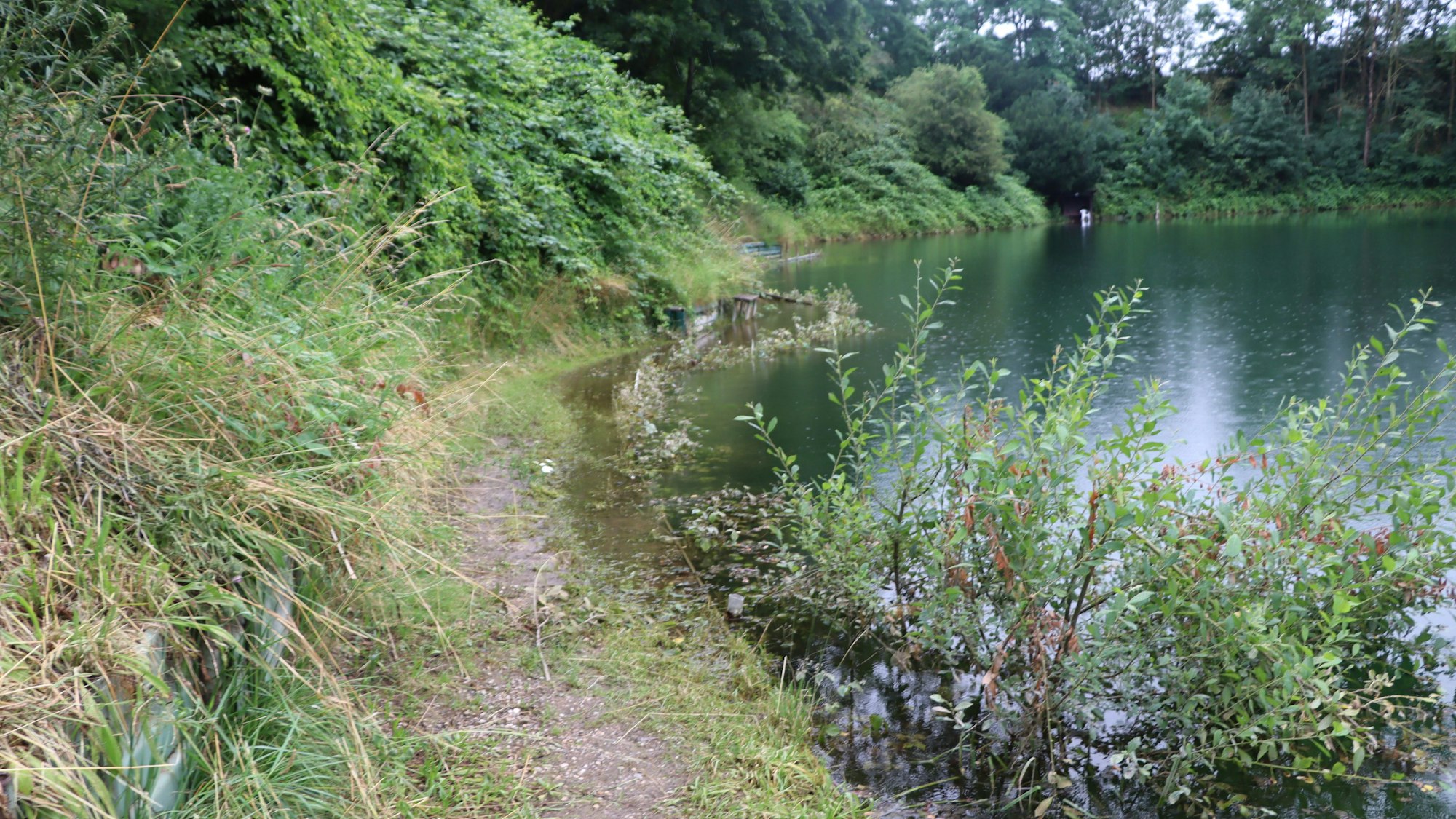 Zu sehen ist ein Weg rund um einen See.