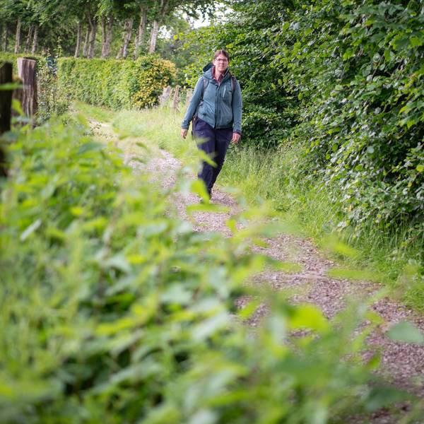 Reporterin Julia Reuß wandert auf dem Wildnistrail im Nationalpark Eifel.